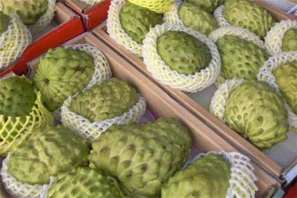 释迦果贵的原因,释迦果为什么贵