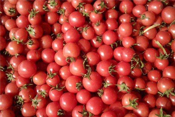 圣女果能祛斑吗,圣女果黑斑