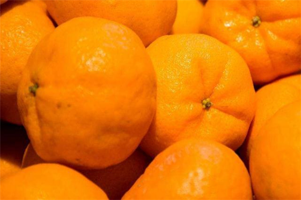 椪柑减肥可以吃吗,减肥可以吃芦柑吗