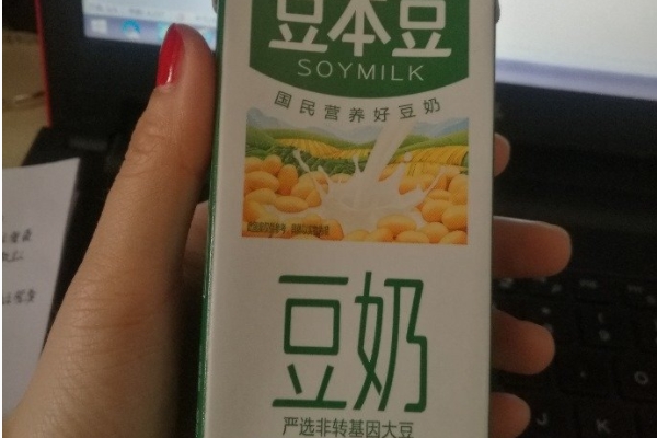 什么是豆奶,豆奶和豆乳