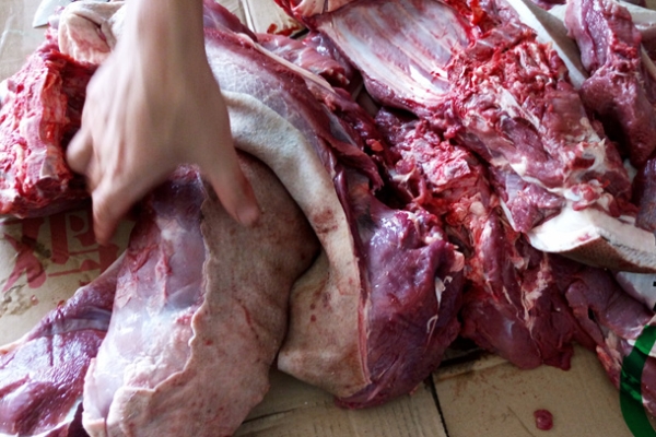 野猪肉是什么样子的,野猪肉口感