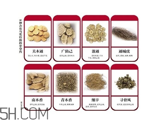 马兜铃酸多少克致癌,吃了1克马兜铃酸就能致癌吗