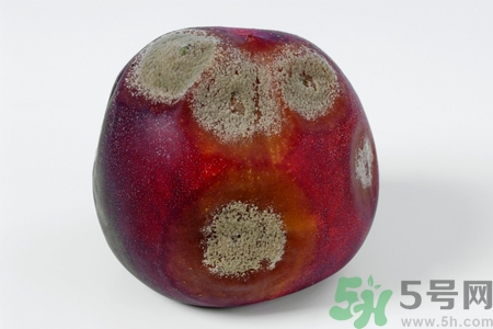 发霉的水果对人体有什么危害(吃发霉水果的危害) 发霉的水果对人体有什么危害(吃发霉水果的危害)