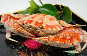 海蟹熟的还是生的冷冻保存好(海蟹保存冷冻还是冷藏) 海蟹熟的还是生的冷冻保存好(海蟹保存冷冻还是冷藏)