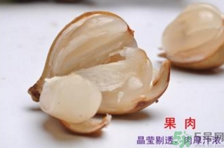 椰色果的营养(椰果营养成分)