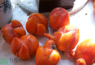 懒柿子一天吃几个比较好(懒柿子能多吃吗)