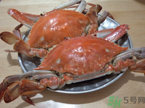 海蟹的食用禁忌(吃海螃蟹的禁忌)