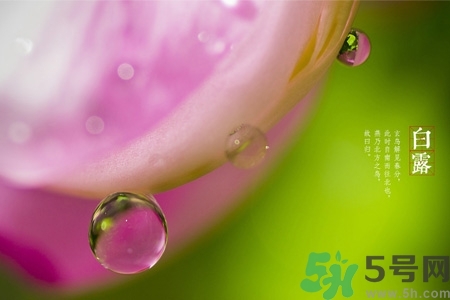 爱出油的五大原因(爱出油是什么原因)