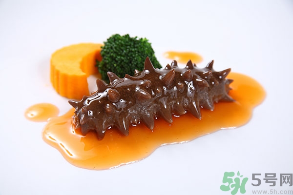 海参的营养价值(海参的营养价值和功效)