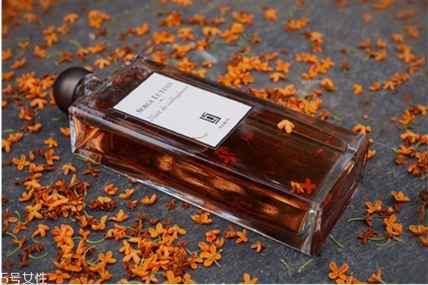 芦丹氏八月夜桂花价格,芦丹氏八月夜桂花香价格