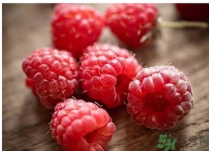 茅莓的营养价值(茅莓的营养价值)