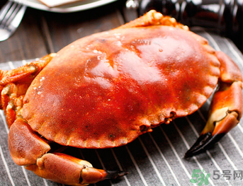 死了的面包屑蟹怎么做比较好吃(死面包蟹可以吃吗)