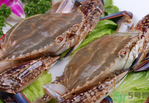 梭子蟹是发物吗(梭子蟹是发物吗?)