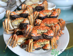 阳澄湖大闸蟹比普通大闸蟹好在哪里(阳澄湖大闸蟹跟普通大闸蟹的区别) 阳澄湖大闸蟹比普通大闸蟹好在哪里(阳澄湖大闸蟹跟普通大闸蟹的区别)