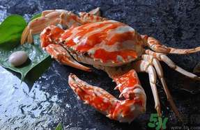 大闸蟹的吃法(大闸蟹的吃法剥法视频)