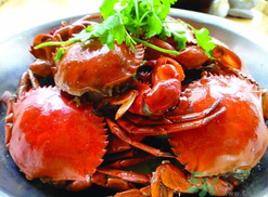 怎么看海蟹黄(怎么看螃蟹有没有蟹黄) 怎么看海蟹黄(怎么看螃蟹有没有蟹黄)