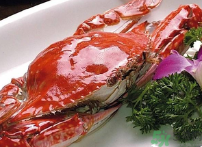 怎样看螃蟹有没有黄(怎样看螃蟹有没有黄)