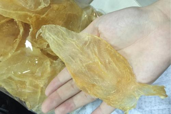 什么人不适合吃鱼鳔(什么人不适合吃鱼鳔)