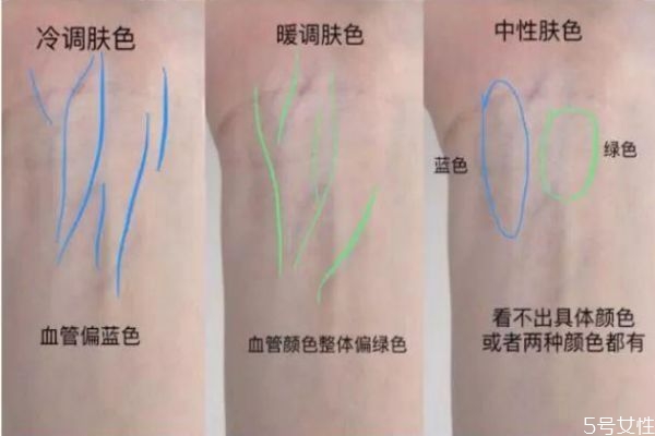 粉底液选粉白还是黄白,粉底液黄调白皮什么意思