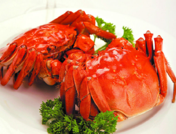 大闸蟹做法(大闸蟹做法和步骤)