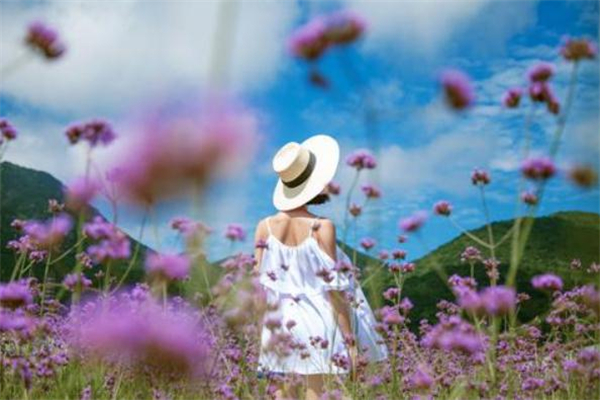 聚酯纤维衣服能日晒吗?,聚酯纤维可以暴晒吗