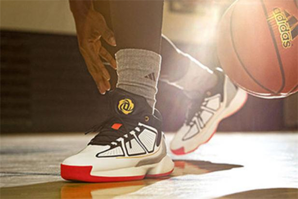 罗斯9怎么样,罗斯十好还是罗斯11好