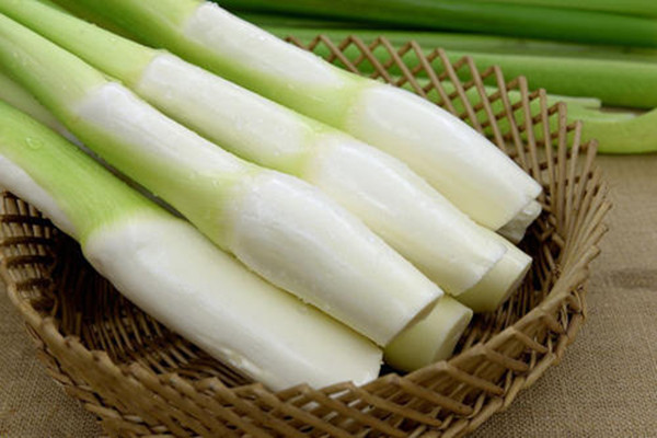 茭白有黑点的原因(茭白黑点是什么原因)