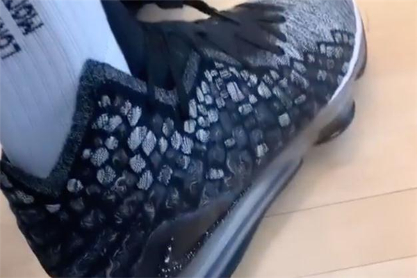 詹姆斯17代战靴谍照,詹姆斯18代战靴谍照