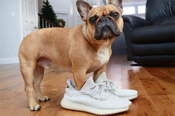 yeezy抽中不买,yeezy怎么抽签