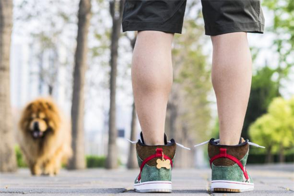 耐克sb dunk多少钱,耐克dunk价格