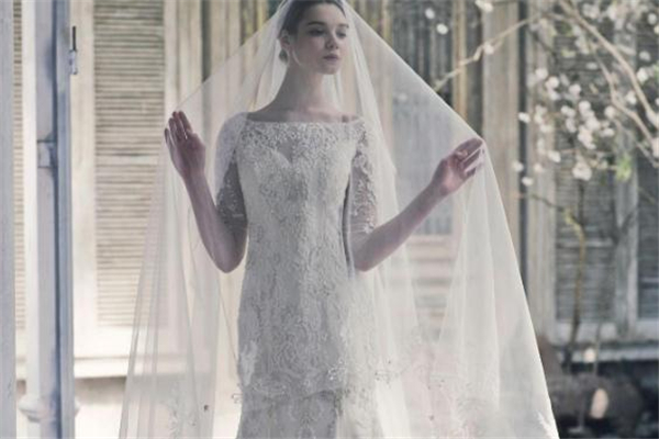 vestal什么意思,velwin是什么档次