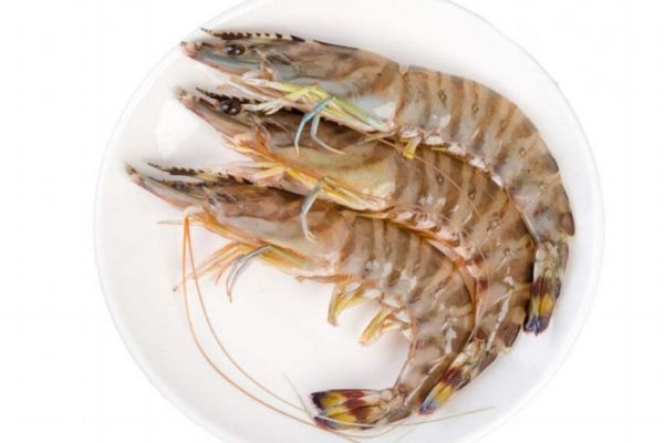 竹节虾究竟有多神奇呢(竹节虾是什么虾) 竹节虾究竟有多神奇呢(竹节虾是什么虾)