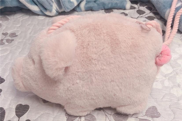 zara小猪包,zara小猪包专柜多少钱