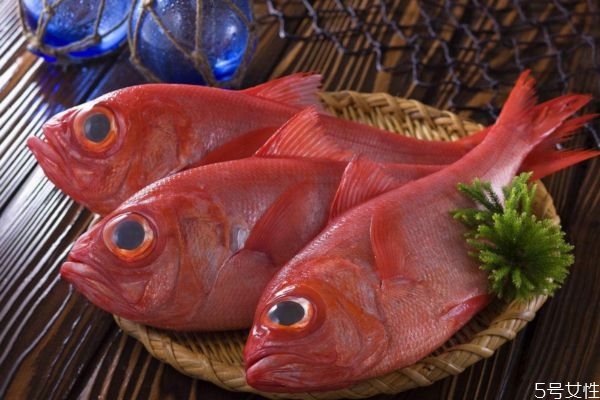 金目鲷的生长环境是怎么样的呢(金目鲈鱼养殖方法)