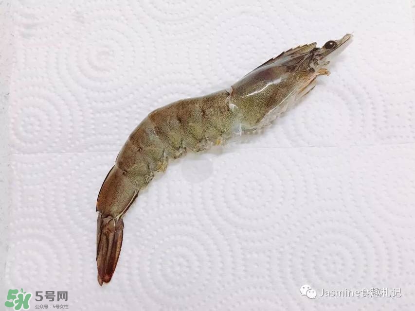 珂润的明星产品有什么呢(珂润代言人是谁)