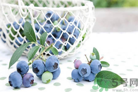 蓝莓鲜果的挑选方法(怎么挑蓝莓是否新鲜)