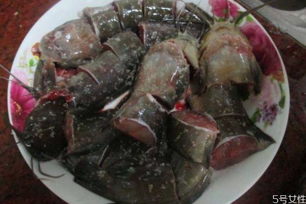 大口鲶的市场价格是怎么样的呢(大口鲶市场价格多少)