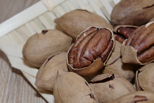 碧根果的禁忌,碧根果和什么相克