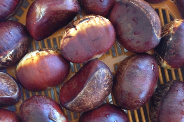 糖炒板栗的做法视频,糖炒板栗的做法大全