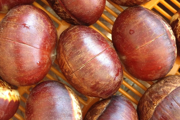 糖炒栗子凉了怎么办?,糖炒栗子凉了怎么处理