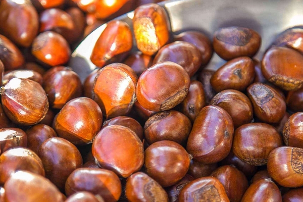 糖炒板栗的做法视频,糖炒板栗的做法大全 糖炒板栗的做法视频,糖炒板栗的做法大全