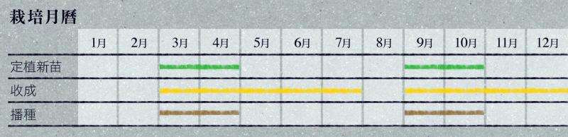 在家如何教育和培养孩子,在家怎么训练