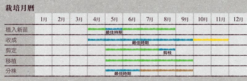 家中好的教育方法,在家如何教育和培养孩子