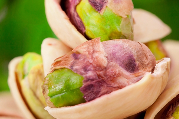 白果和开心果一样吗,白果是不是开心果