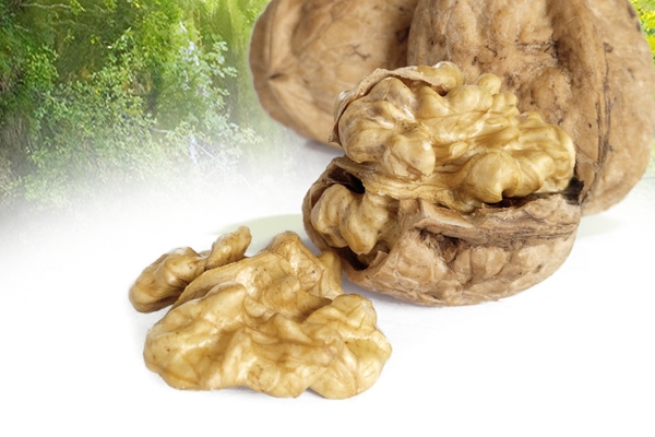 核桃的选购方法,核桃挑选方法