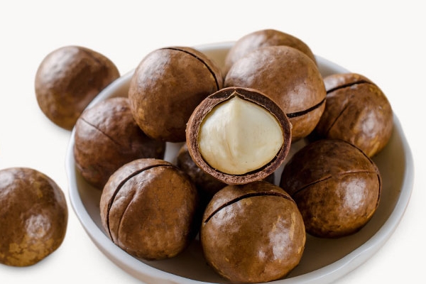 夏威夷果的营养价值及功效,夏威夷果的营养价值及功效禁忌