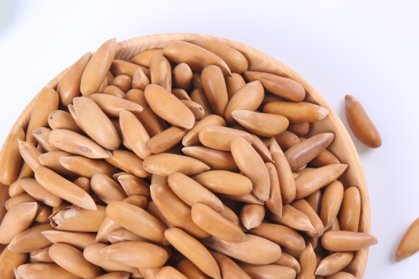 东北松子怎么样,东北的松子