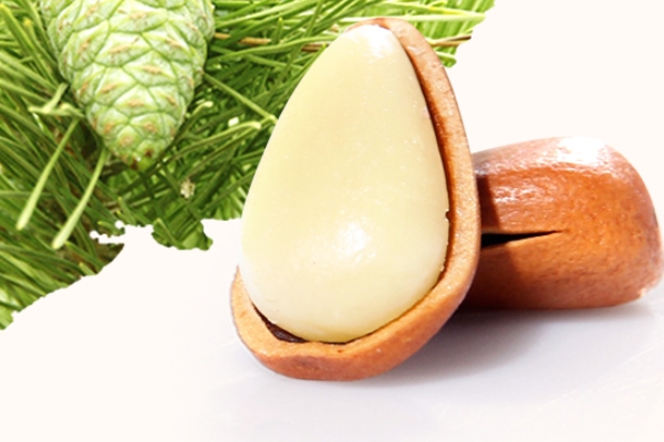 松子如何挑选,巴西松子怎么挑选