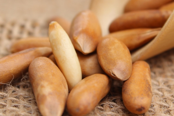 如何鉴别松子的好坏,怎么判断松子有没有变质