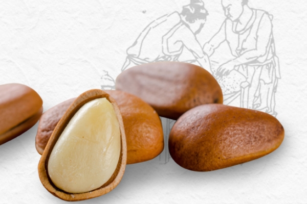 什么是松子,关于松子的介绍